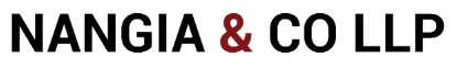 Nangia & Co LLP Logo